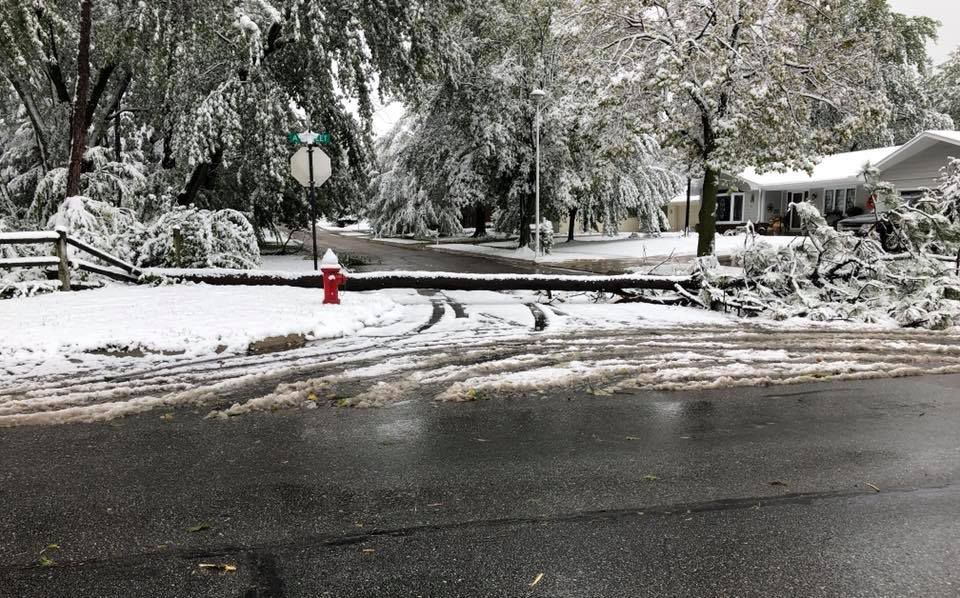 Snow, 10/14